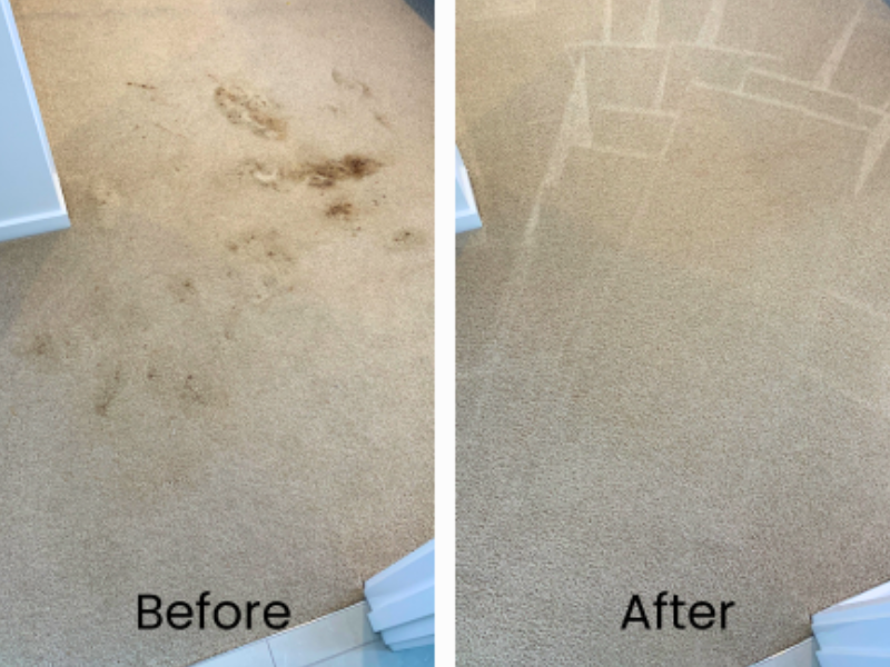Before and after results of truck-mounted carpet cleaning 
