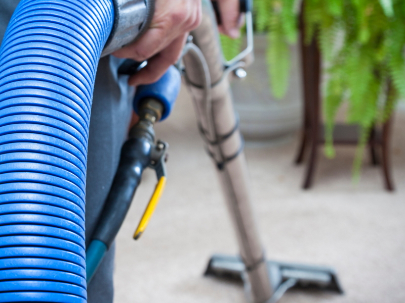 BFS Carpet Cleaning removing dust mites and bacteria from the carpet