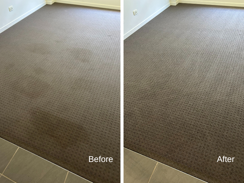 Before and after bond carpet cleaning showing spotless results for end of lease on the Sunshine Coast.