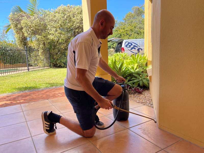 Professional Sunshine Coast bond carpet cleaning and pest control service in action.