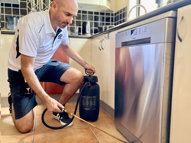Licensed Pest Technician performing Pest Control on the Sunshine Coast